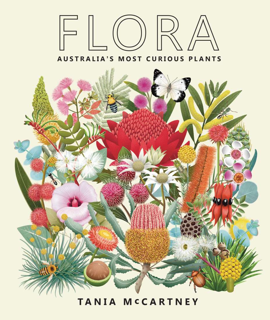 FLORA AUSTRALIA'S MOST CURIOUS PLANTS