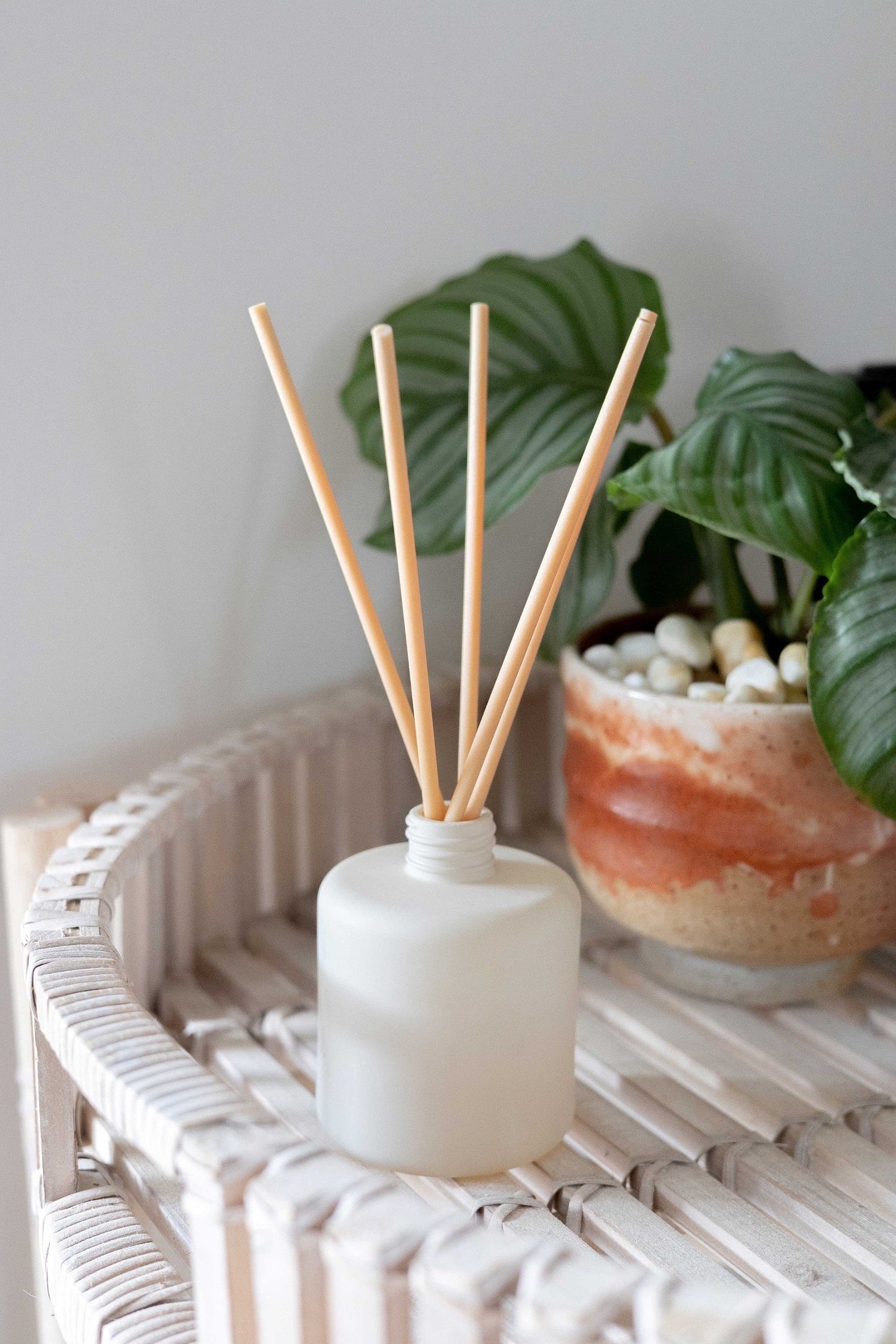 Blood Orange Clove Reed Diffuser