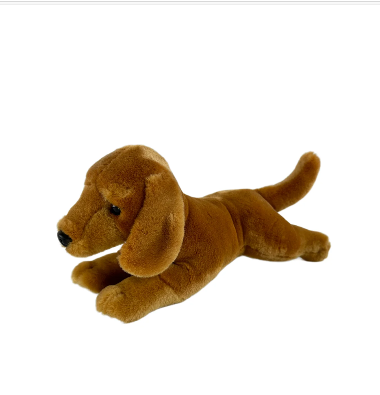 Bean - Dachshund Red