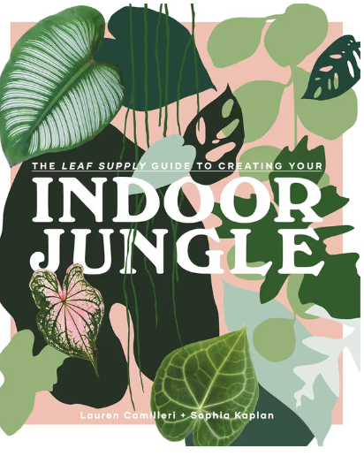 INDOOR JUNGLE