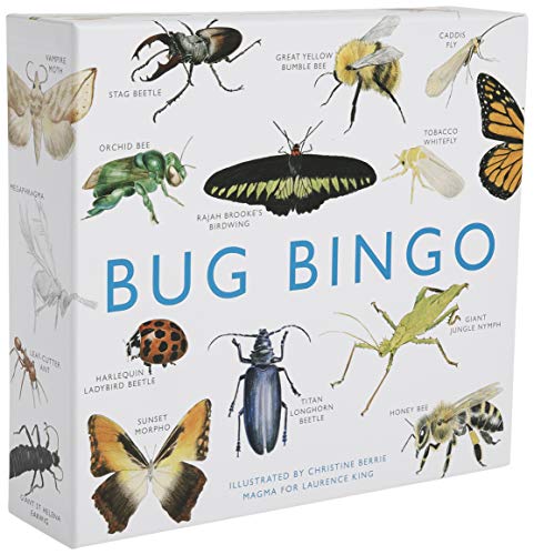 BUG BINGO