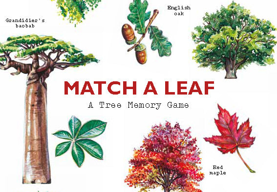 Match A Leaf - A Tree Memory game