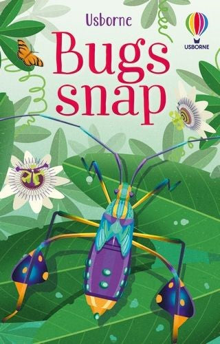 SNAP CARDS - Bugs