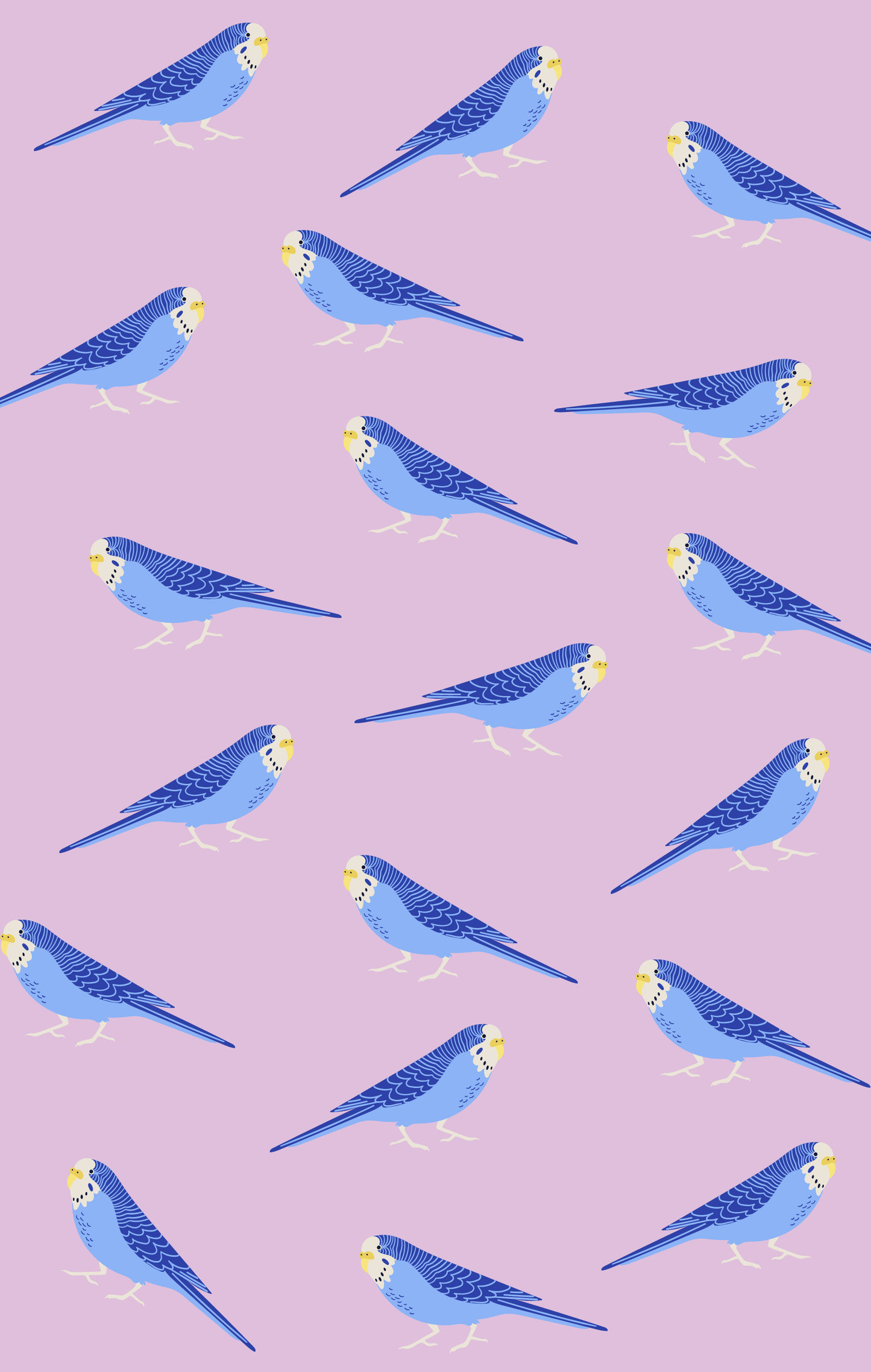 Tea Towel - Budgies: Hangsell (Carded)