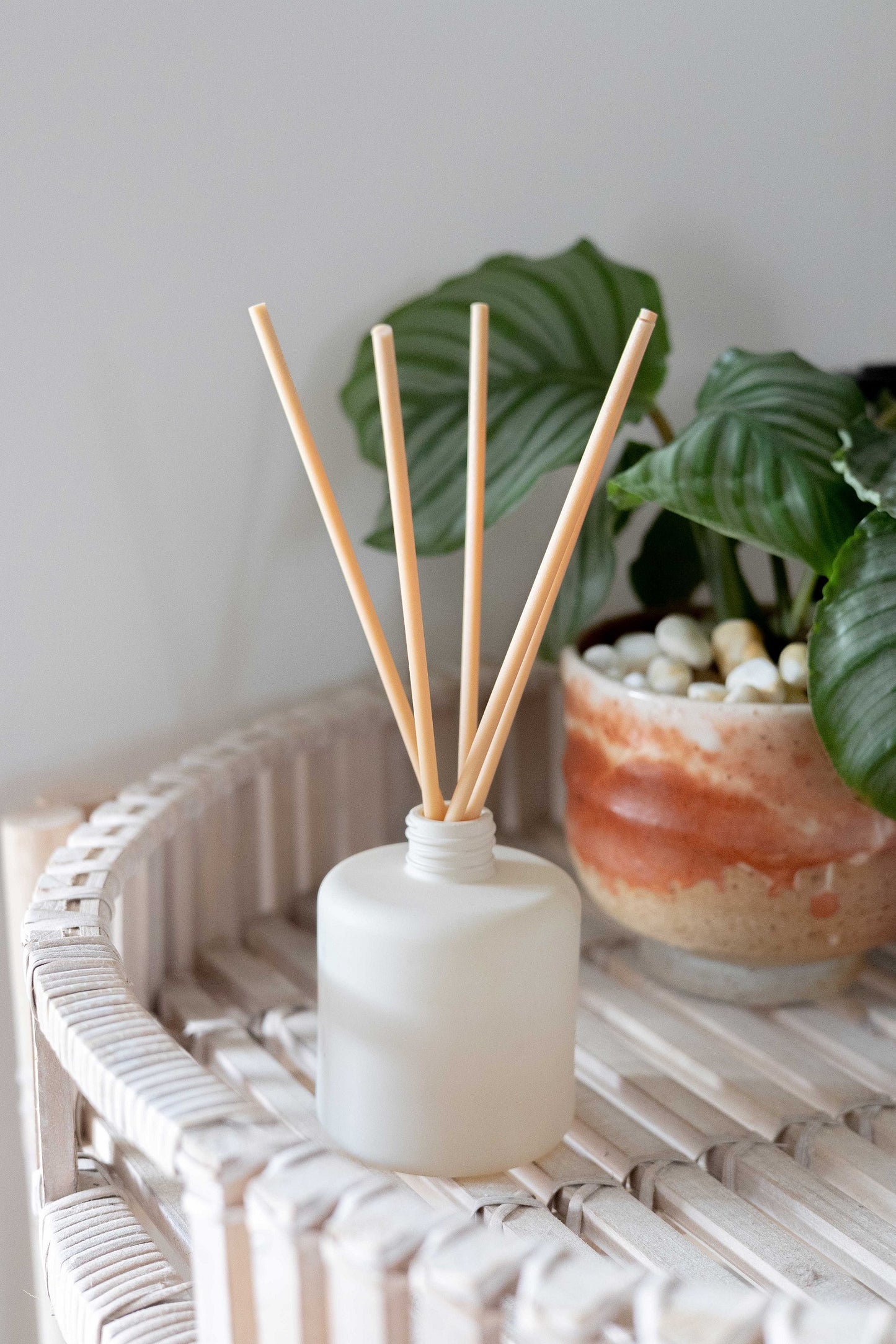 Dragonfruit + Chipotle Reed Diffuser