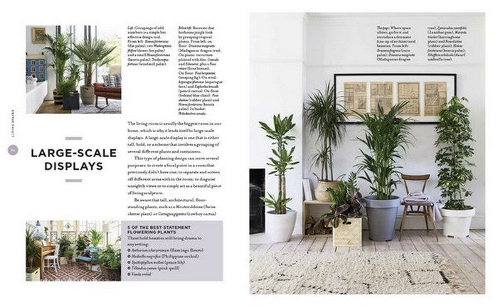 AT HOME WITH PLANTS