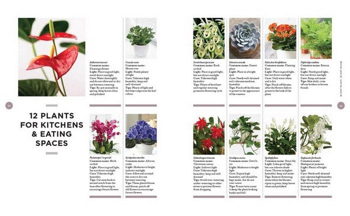 AT HOME WITH PLANTS