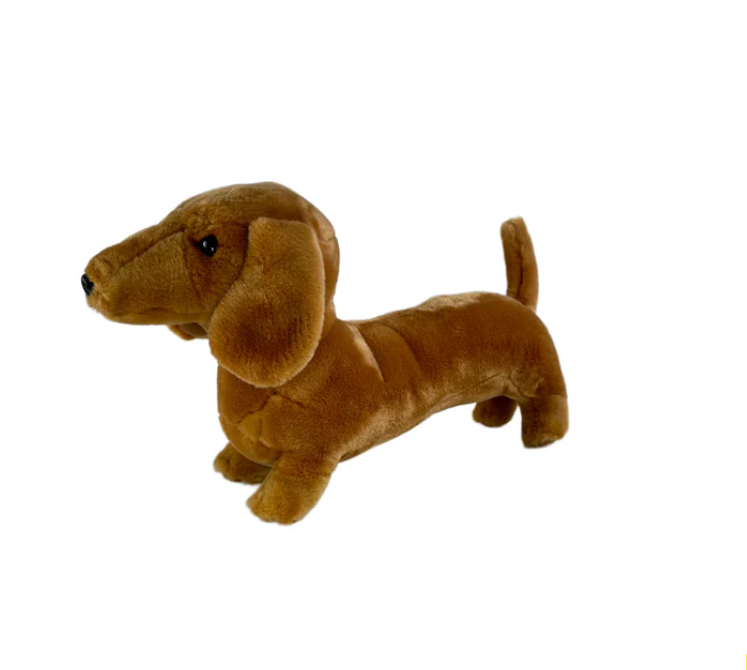 Sadie - Dachshund Red