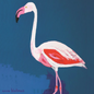 COASTER - FLORIDA