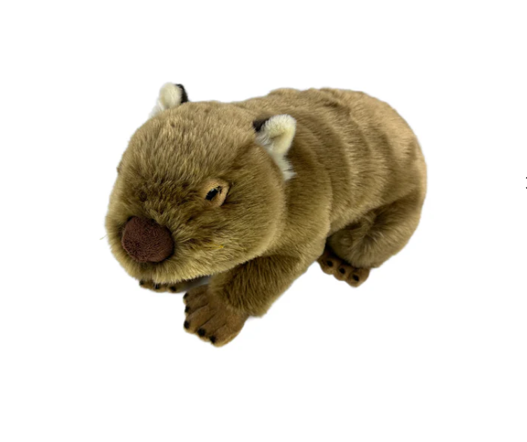 Georgina - Wombat