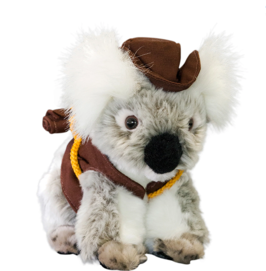 Jack - Koala