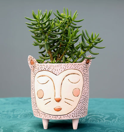 PURRS  CAT PLANTER - LARGE