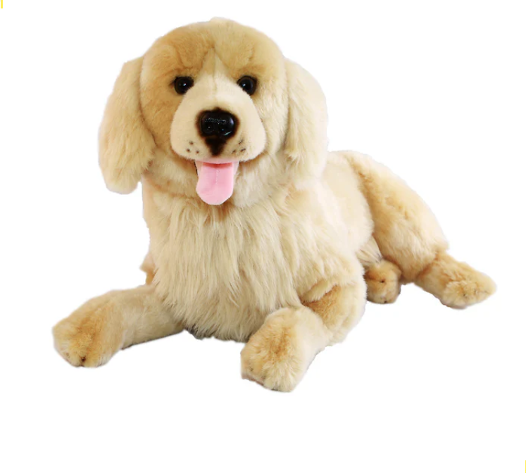 Lucky - Golden Retriever