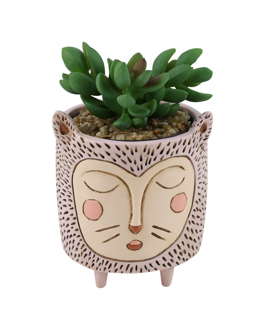 BABY PURRS  CAT PLANTER - SMALL