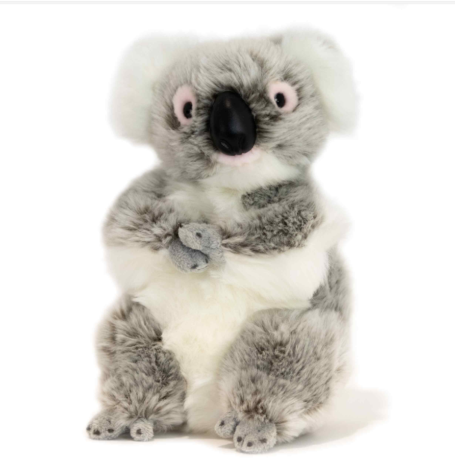 Tinker - Koala