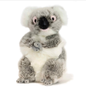 Tinker - Koala