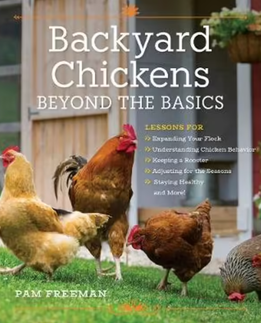 BACKYARD CHICKENS BEYOND THE BASICS