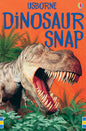 SNAP CARDS -  DINOSAUR