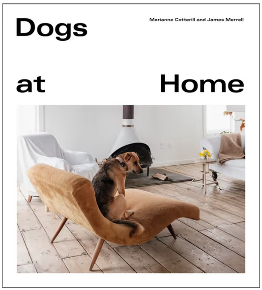 DOGS AT HOME