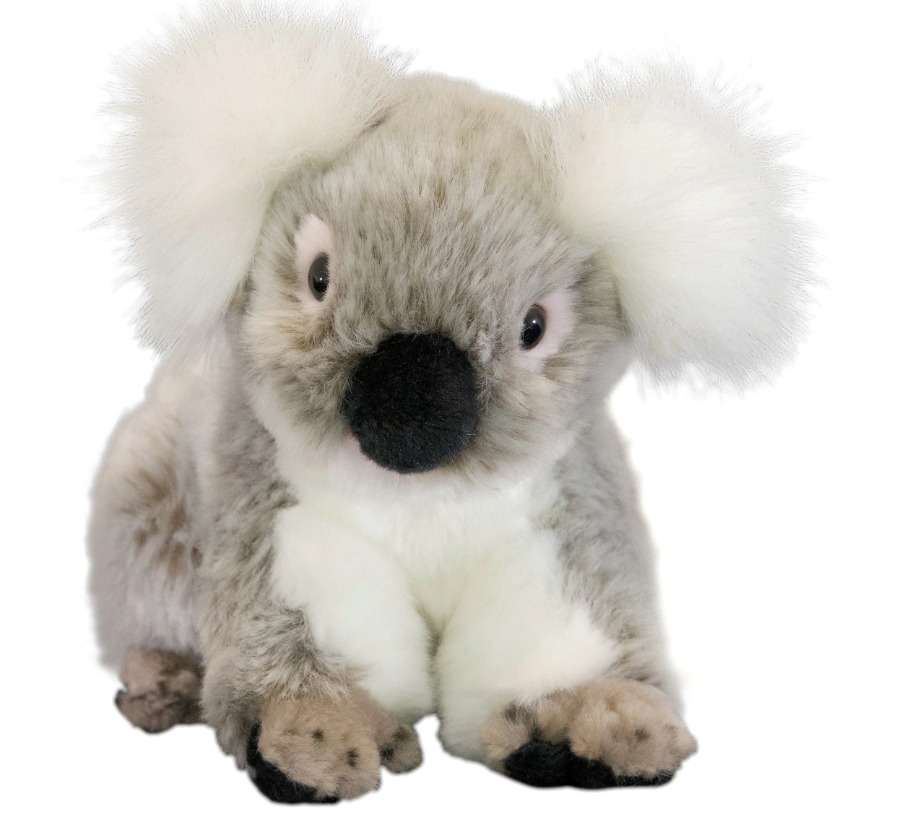 Angel - Koala