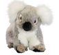 Angel - Koala