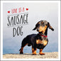 LOVE IS A SAUSAGE DOG