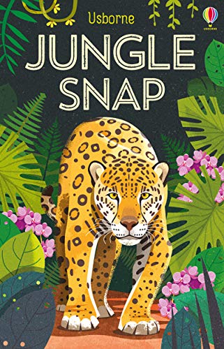 SNAP CARDS -  Jungle