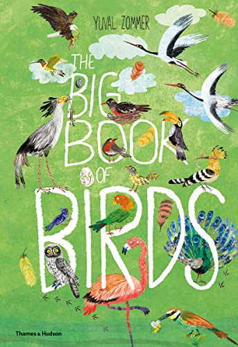 Big book of Birds