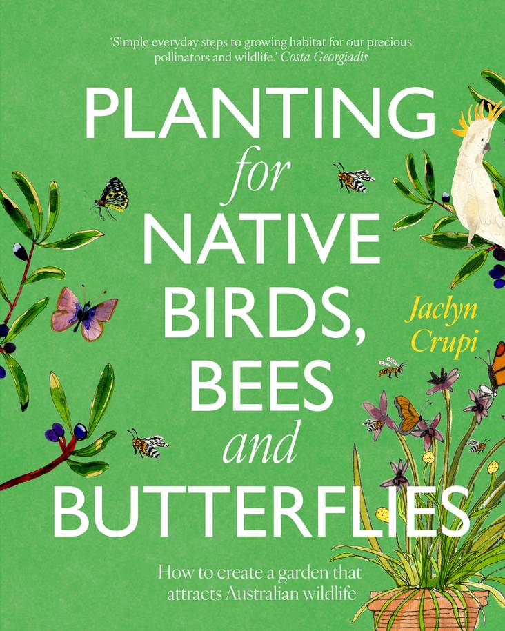Planting for Native Birds, Bees and Butterflies